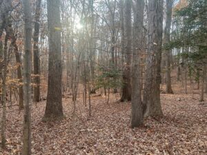 Property photo for land for sale in Mecklenburg County Virginia