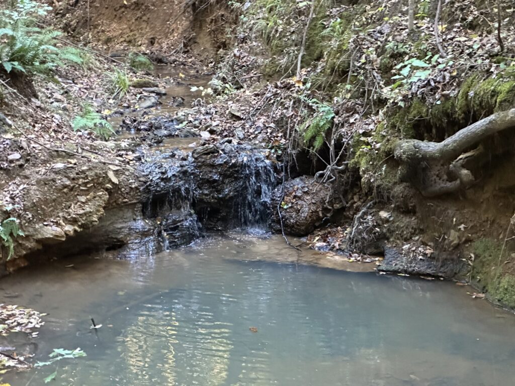 Property photo for land for sale in Cherokee County Texas