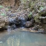 Property photo for land for sale in Cherokee County Texas