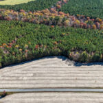 Property photo for land for sale in Lunenburg County Virginia