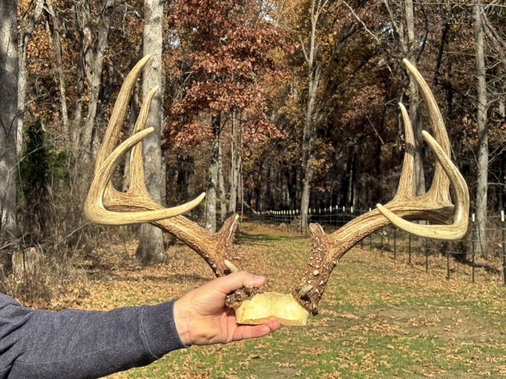 Property photo for land for sale in Cedar County Missouri