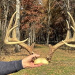 Property photo for land for sale in Cedar County Missouri