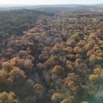 Property photo for land for sale in Latimer County Oklahoma