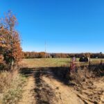 Property photo for land for sale in Newton County Arkansas