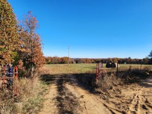 Property photo for land for sale in Newton County Arkansas