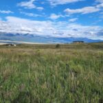 Property photo for land for sale in Custer County Colorado
