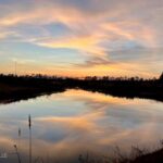 Property photo for land for sale in Lincoln County Mississippi