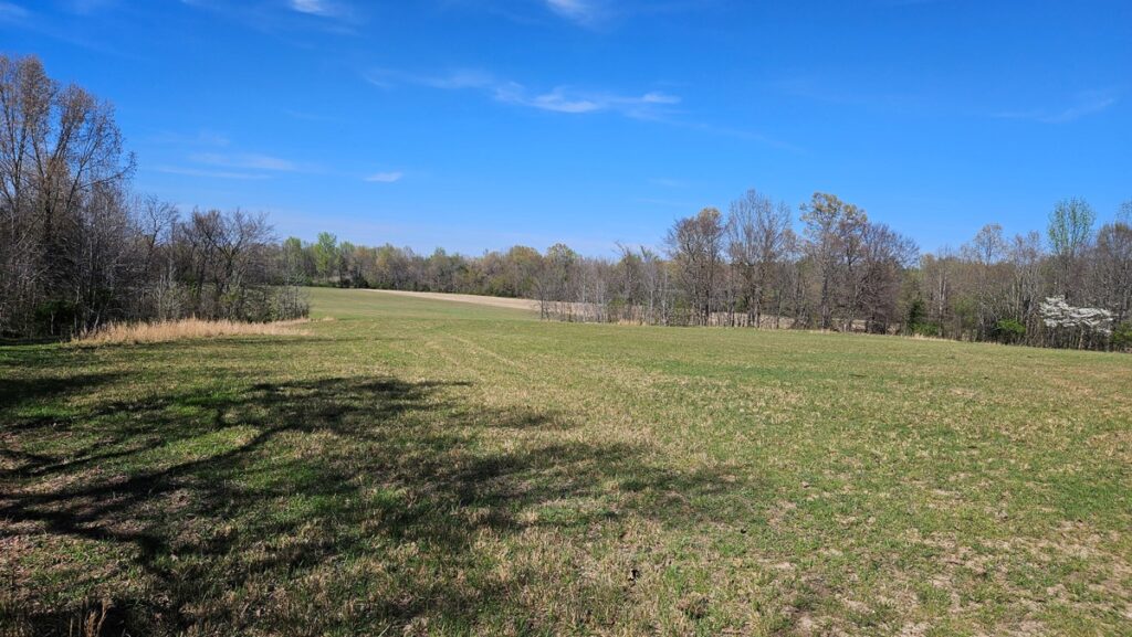 Property photo for land for sale in Clay County Arkansas