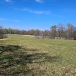 Property photo for land for sale in Clay County Arkansas