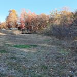 Property photo for land for sale in St. Clair County Missouri
