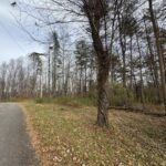 Property photo for land for sale in Patrick County Virginia