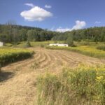 Property photo for land for sale in Cortland County New York