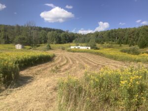 Property photo for land for sale in Cortland County New York