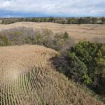 Property photo for land for sale in Grundy County Missouri