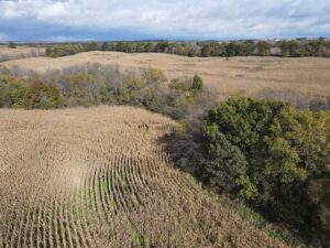 Property photo for land for sale in Grundy County Missouri