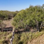 Property photo for land for sale in Kleberg County Texas