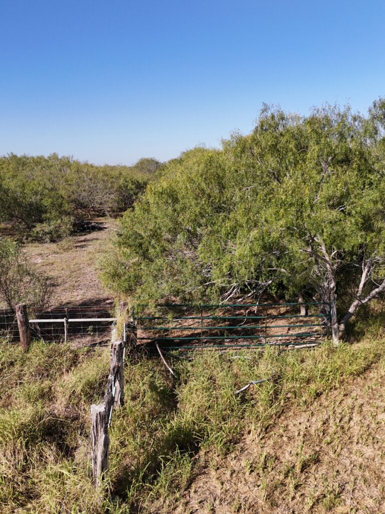 Property photo for land for sale in Kleberg County Texas
