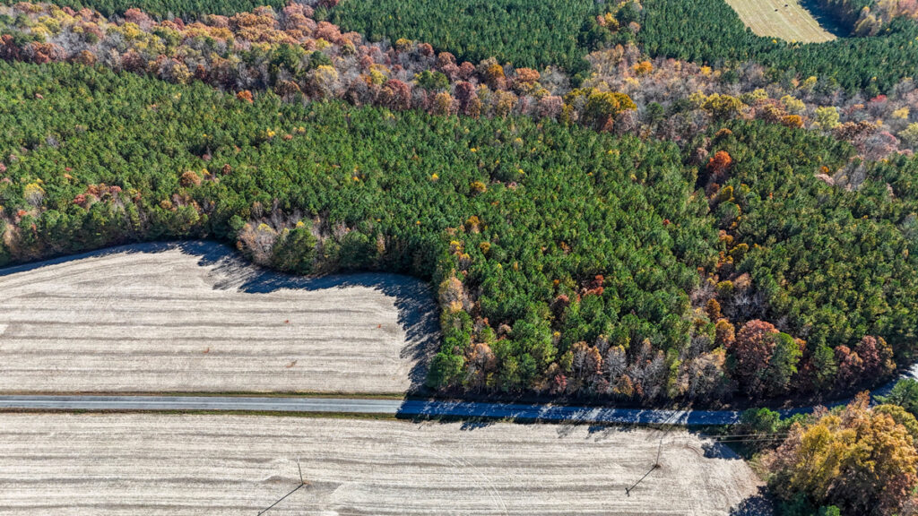 Property photo for land for sale in Lunenburg County Virginia