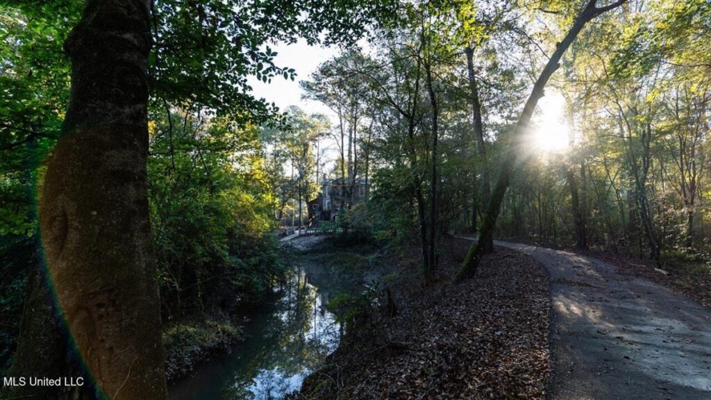 Property photo for land for sale in Amite County Mississippi