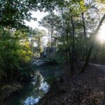 Property photo for land for sale in Amite County Mississippi