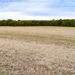 Property photo for land for sale in Buchanan County Missouri