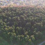 Property photo for land for sale in Latimer County Oklahoma