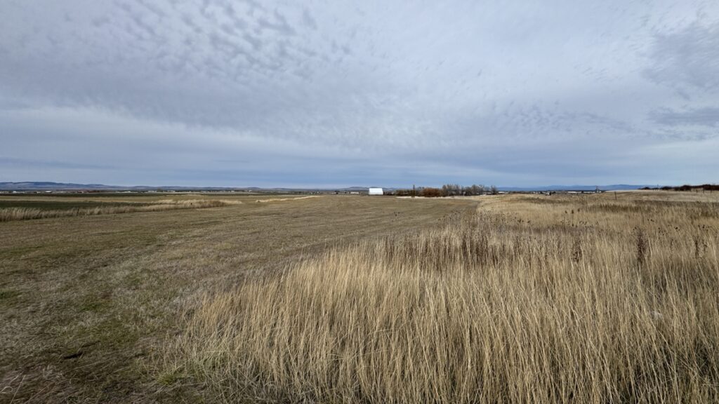 Property photo for land for sale in Idaho County Idaho