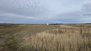 Property photo for land for sale in Idaho County Idaho