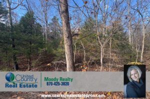 Property photo for land for sale in Baxter County Arkansas