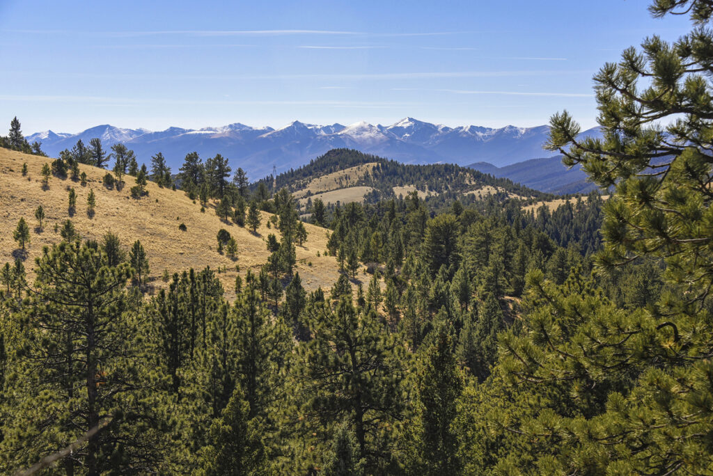 Property photo for land for sale in Fremont County Colorado