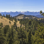 Property photo for land for sale in Fremont County Colorado