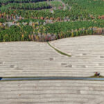 Property photo for land for sale in Lunenburg County Virginia