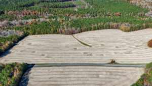 Property photo for land for sale in Lunenburg County Virginia