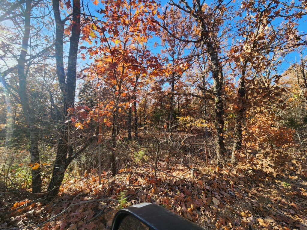 Property photo for land for sale in Newton County Arkansas