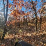 Property photo for land for sale in Newton County Arkansas