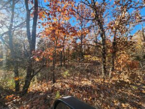 Property photo for land for sale in Newton County Arkansas