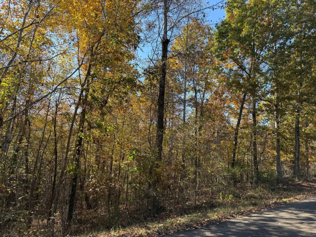 Property photo for land for sale in Hardin County Tennessee