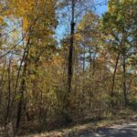 Property photo for land for sale in Hardin County Tennessee