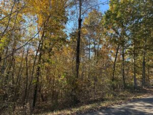 Property photo for land for sale in Hardin County Tennessee