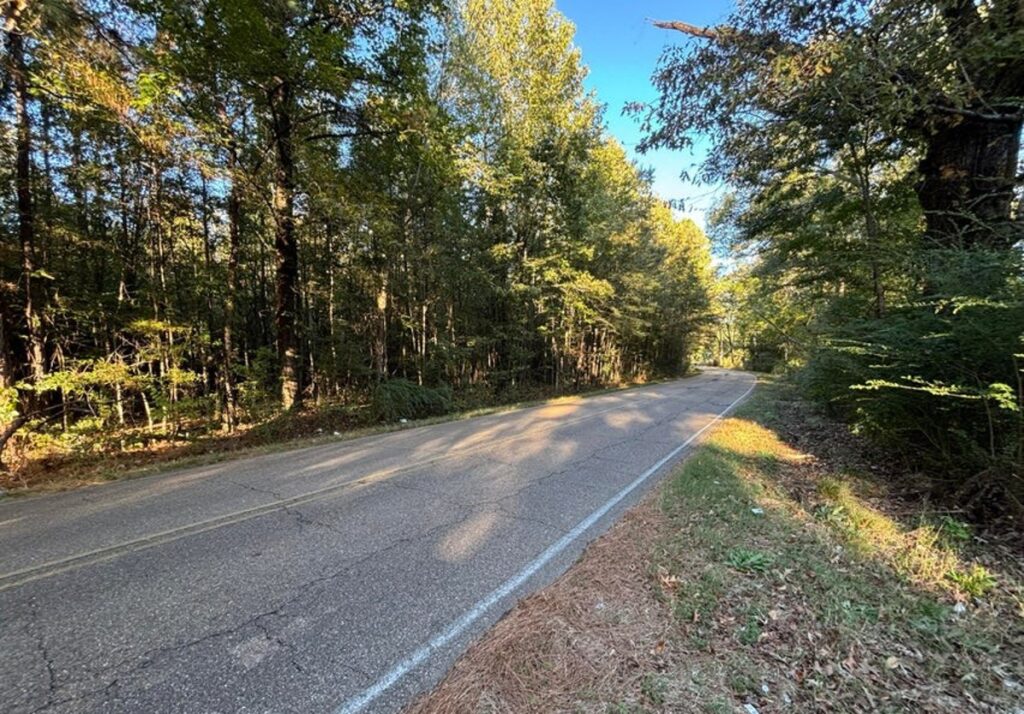 Property photo for land for sale in Hinds County Mississippi