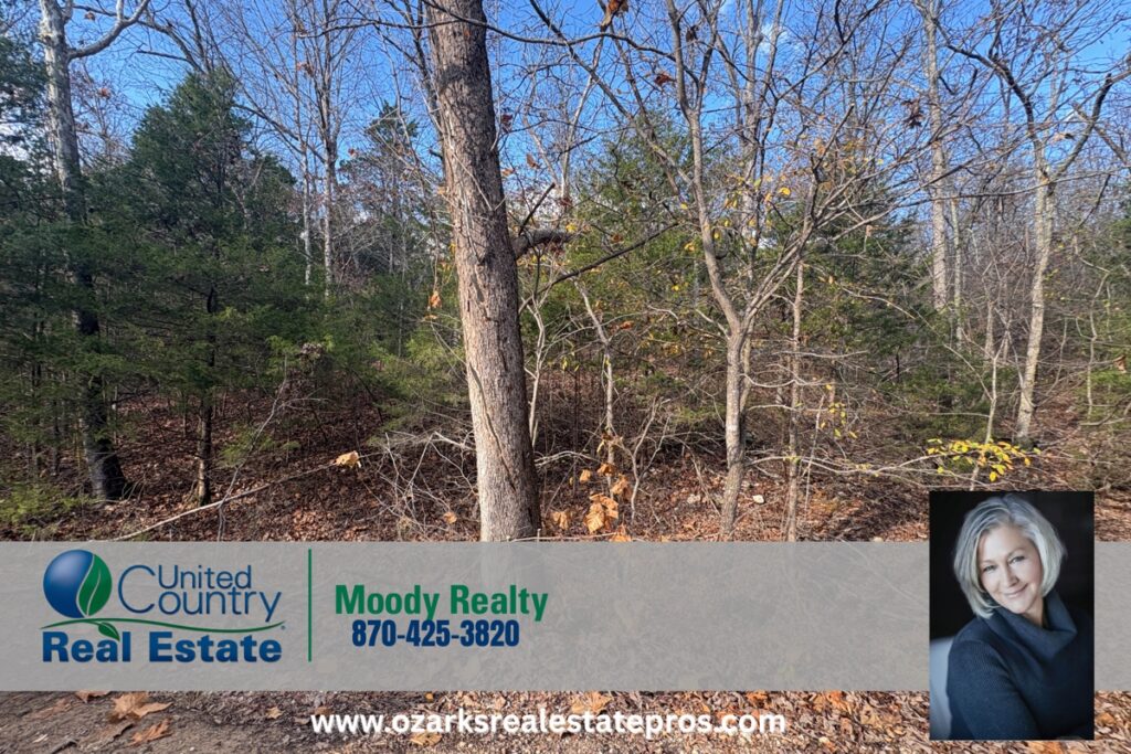 Property photo for land for sale in Baxter County Arkansas