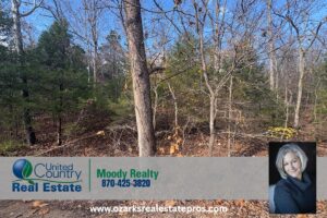 Property photo for land for sale in Baxter County Arkansas