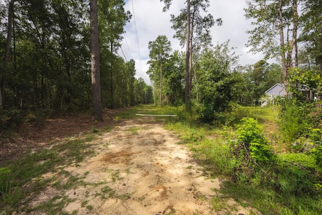 Property photo for land for sale in Bladen County North Carolina
