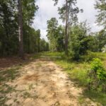 Property photo for land for sale in Bladen County North Carolina