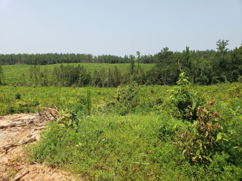 Property photo for land for sale in Ouachita County Louisiana