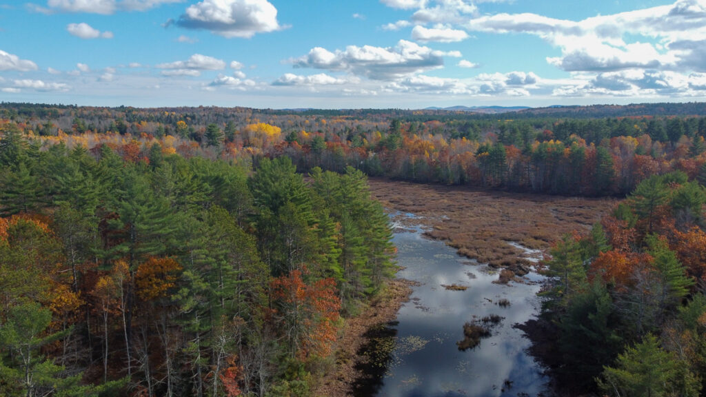 Property photo for land for sale in Waldo County Maine