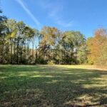 Property photo for land for sale in Clay County Mississippi