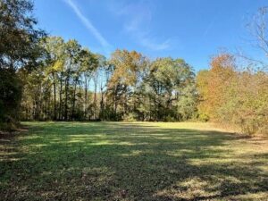 Property photo for land for sale in Clay County Mississippi