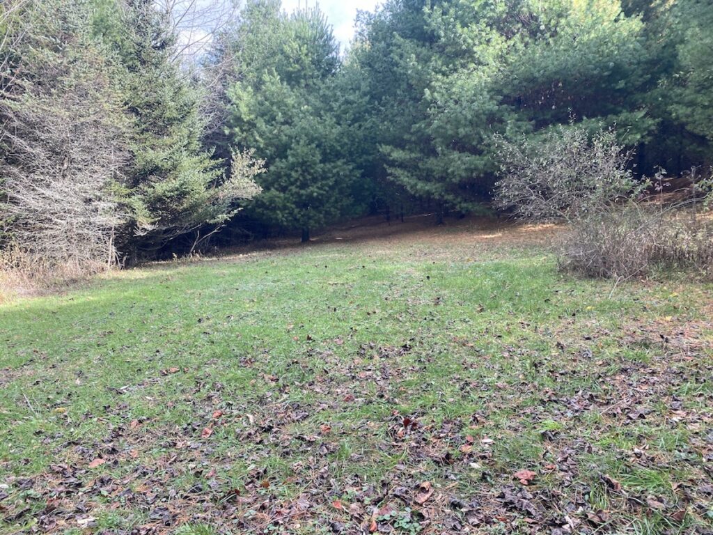 Property photo for land for sale in Floyd County Virginia