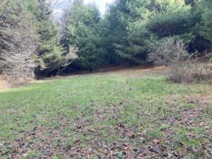 Property photo for land for sale in Floyd County Virginia